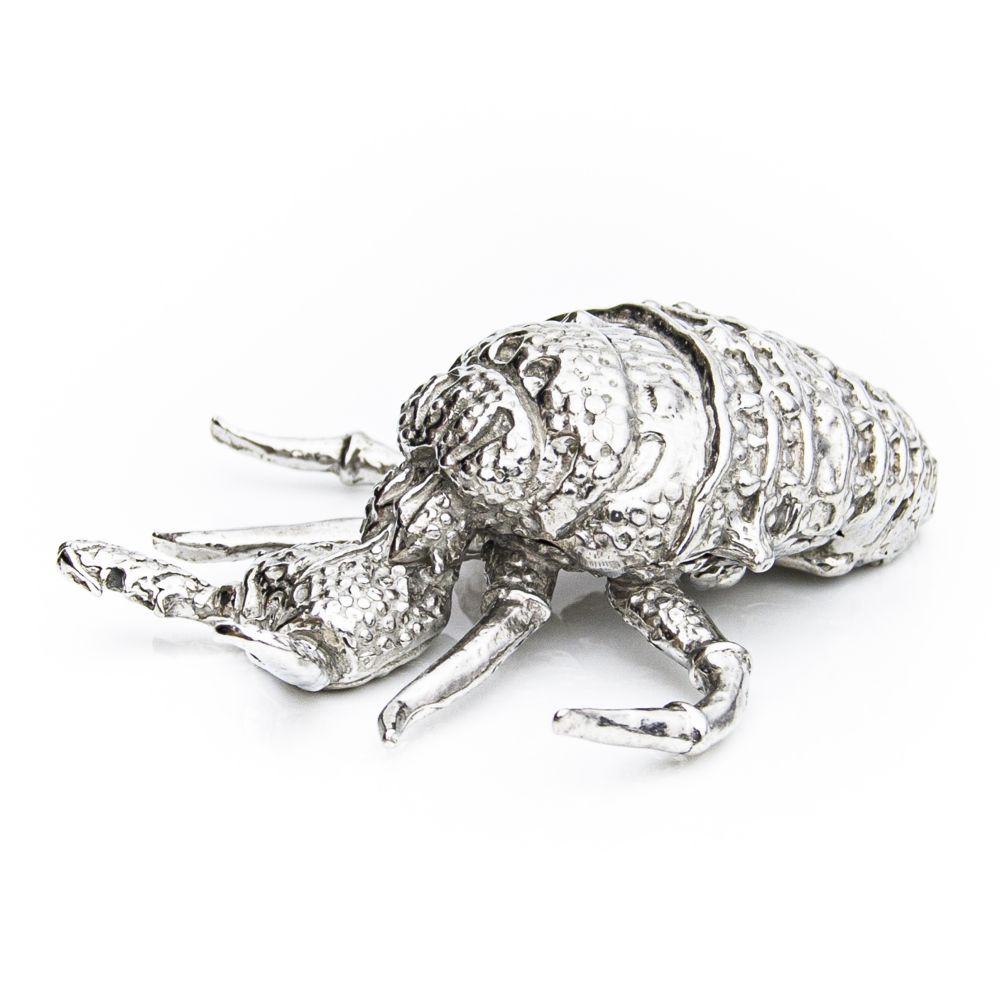 Ant-Lion