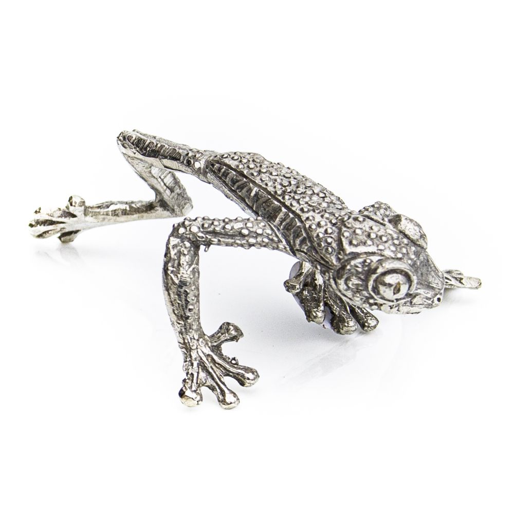 Climbing Tree Frog