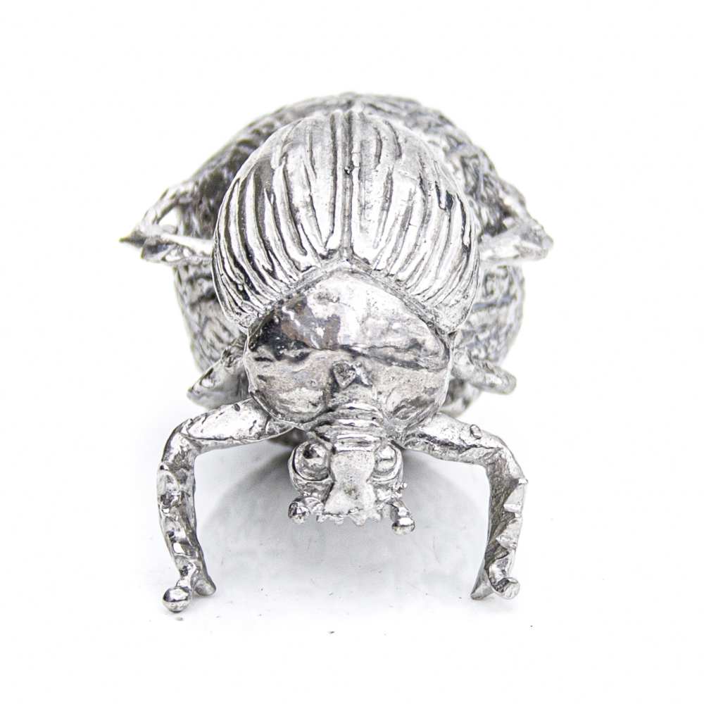 Dung Beetle