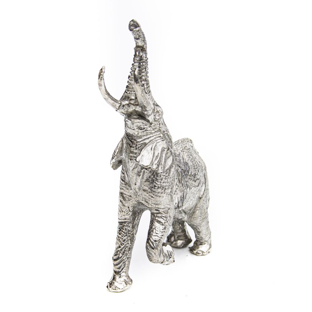 Reaching Elephant