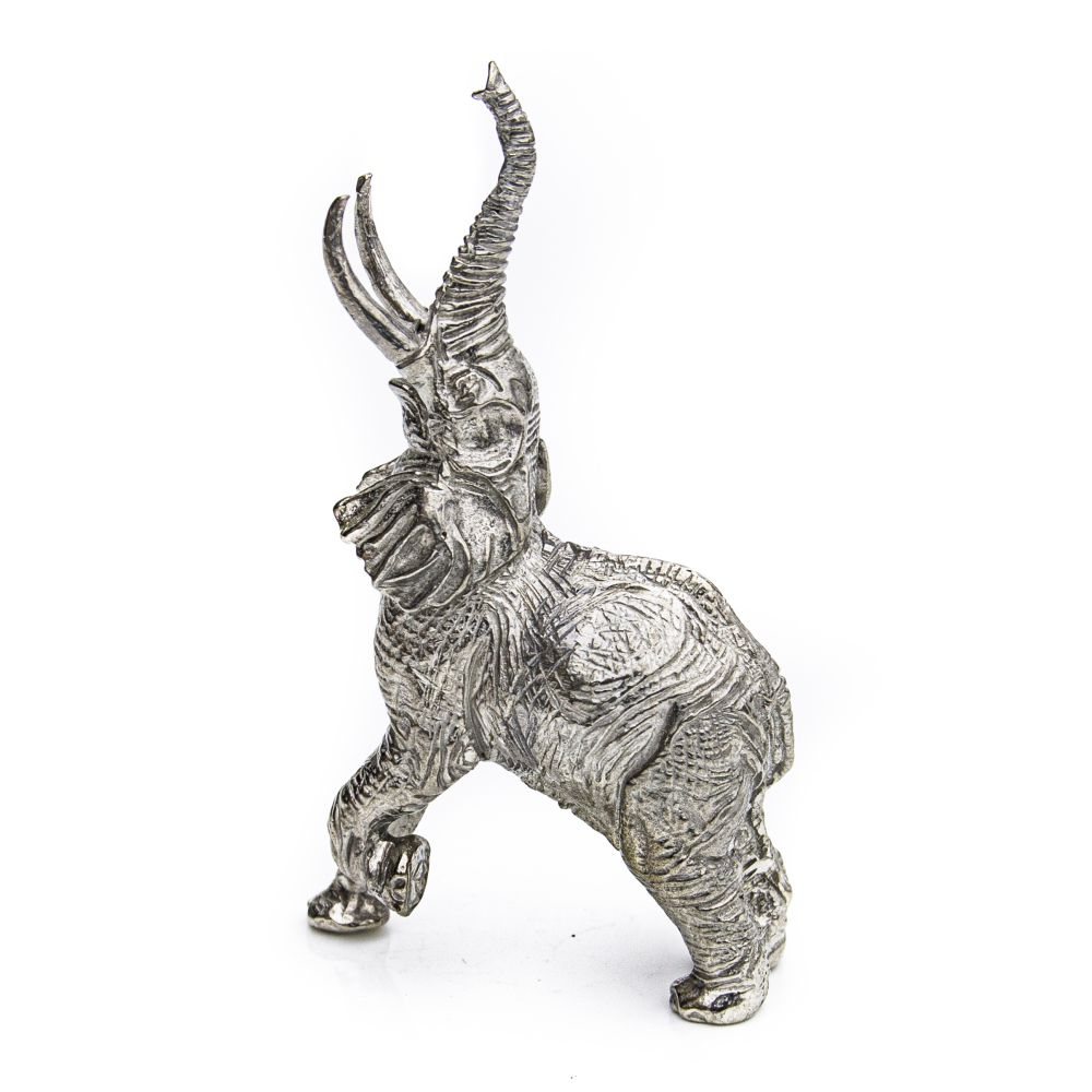 Reaching Elephant