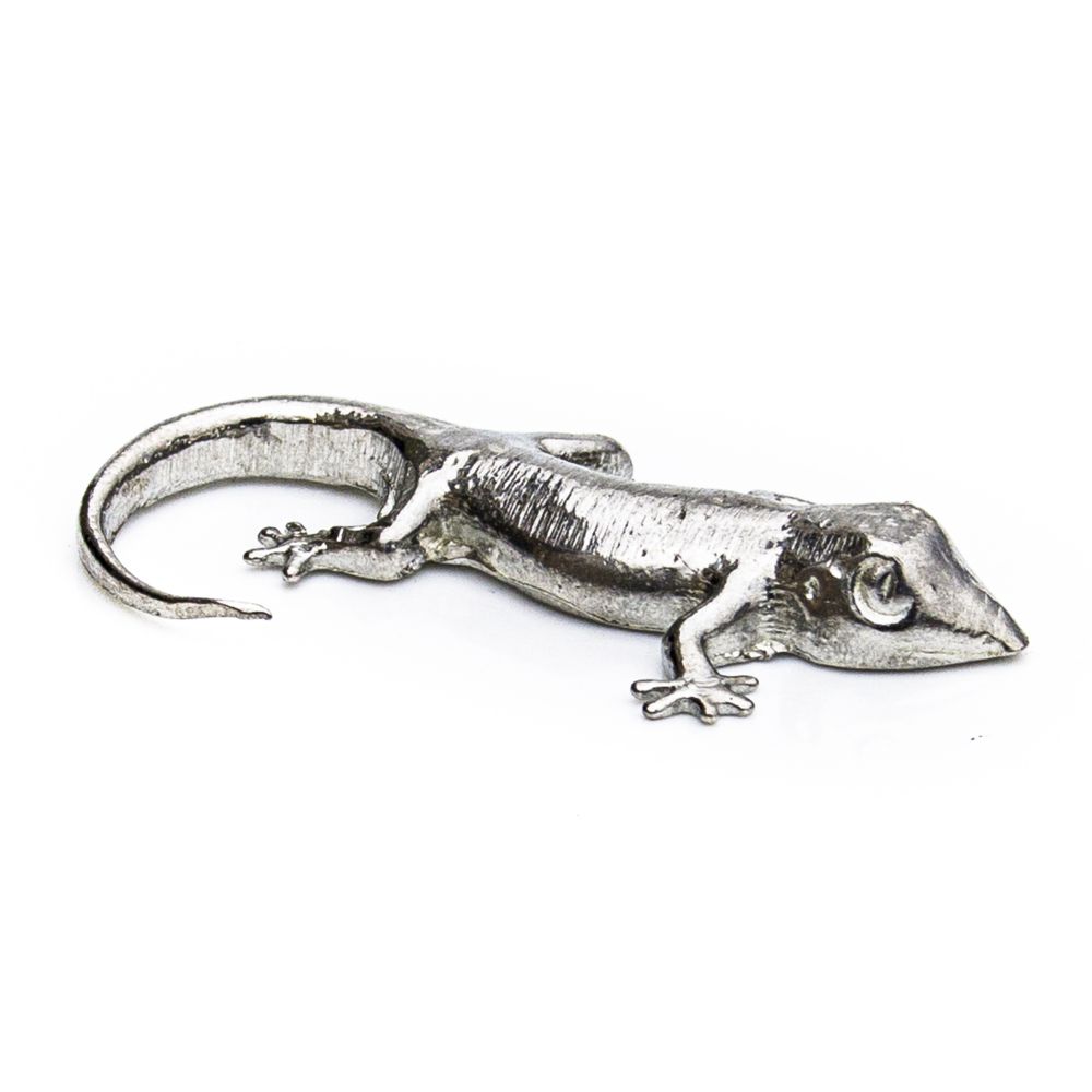 Small Gecko