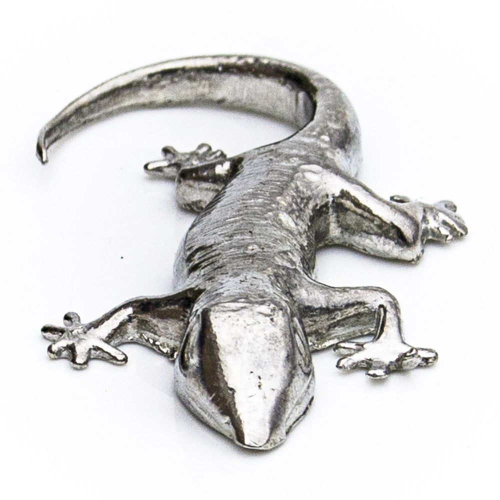 Small Gecko