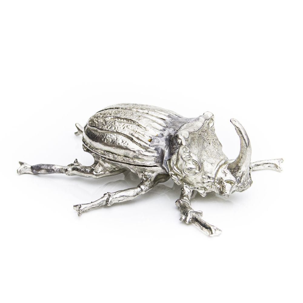 Rhino Beetle