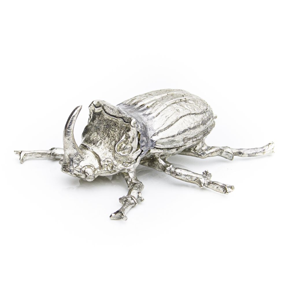 Rhino Beetle