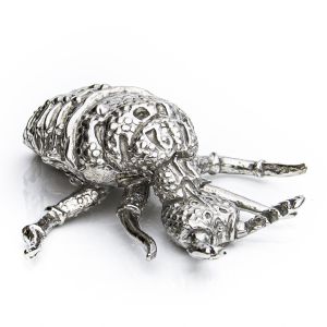 Rhino Beetle