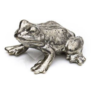 Small Gecko